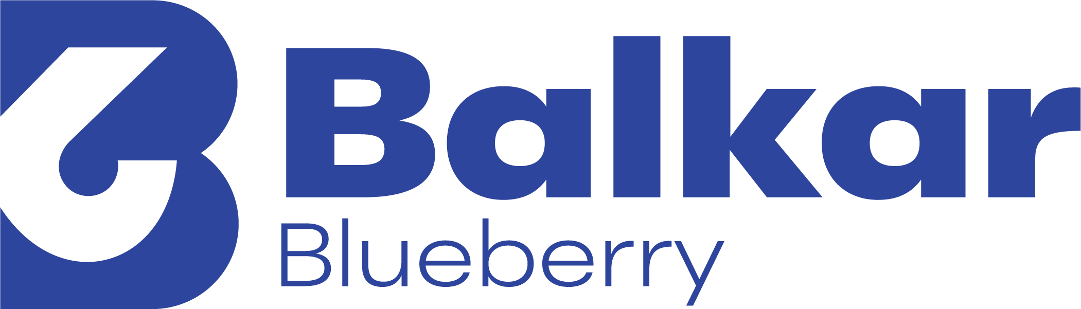 Balkar Blueberry